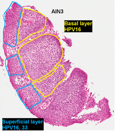 圖5gydF4y2Ba