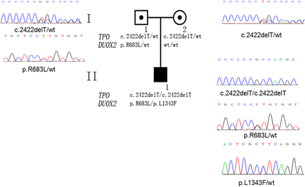 Figure 1